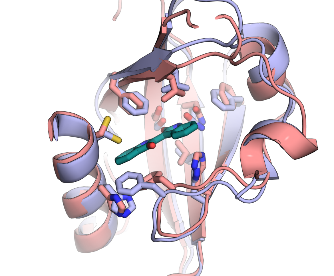 AlphaFold protein structure visualization